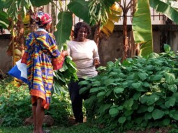 Horticulture Project in Gabon